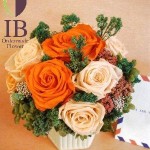 Thumbnail of post image 093