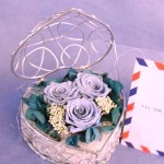 Thumbnail of post image 105