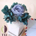 Thumbnail of post image 114