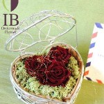 Thumbnail of post image 093