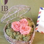 Thumbnail of post image 159