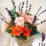 Thumbnail of post image 148