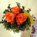 Thumbnail of post image 130