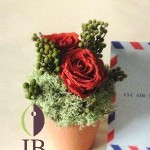 Thumbnail of post image 150