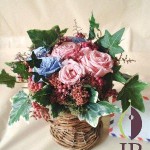 Thumbnail of post image 154