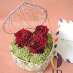 Thumbnail of post image 163