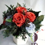 Thumbnail of post image 156