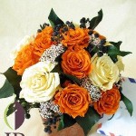 Thumbnail of post image 122