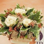 Thumbnail of post image 004