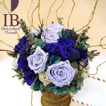 Thumbnail of post image 116