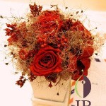 Thumbnail of post image 050