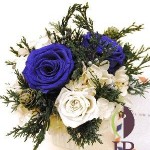 Thumbnail of post image 002