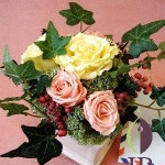 Thumbnail of post image 054