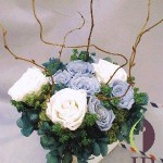 Thumbnail of post image 157