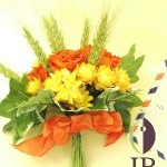 Thumbnail of post image 004