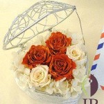 Thumbnail of post image 171