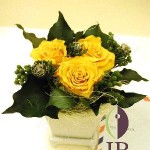 Thumbnail of post image 069