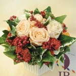 Thumbnail of post image 051