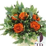 Thumbnail of post image 062