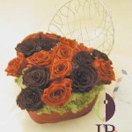 Thumbnail of post image 180