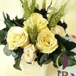 Thumbnail of post image 010