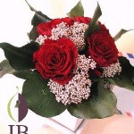 Thumbnail of post image 115