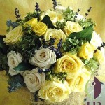 Thumbnail of post image 153