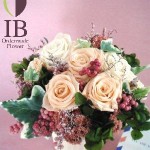 Thumbnail of post image 010