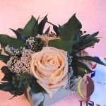 Thumbnail of post image 179