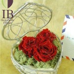 Thumbnail of post image 065