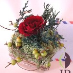 Thumbnail of post image 067