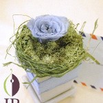 Thumbnail of post image 004