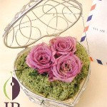 Thumbnail of post image 185