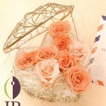 Thumbnail of post image 177