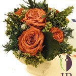 Thumbnail of post image 120