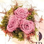 Thumbnail of post image 172