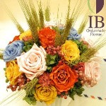 Thumbnail of post image 021