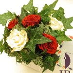 Thumbnail of post image 061