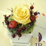 Thumbnail of post image 011