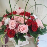 Thumbnail of post image 173