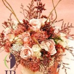 Thumbnail of post image 153