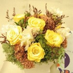 Thumbnail of post image 064