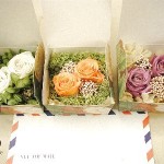 Thumbnail of post image 039