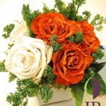 Thumbnail of post image 016