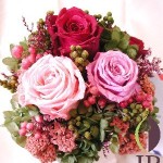 Thumbnail of post image 060