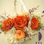 Thumbnail of post image 181