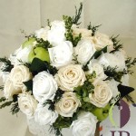 Thumbnail of post image 181