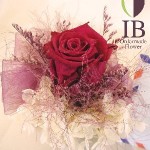 Thumbnail of post image 023