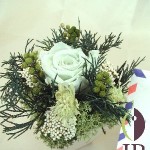 Thumbnail of post image 036