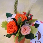 Thumbnail of post image 061